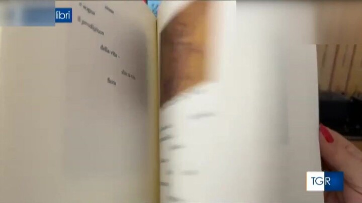 Poetry Born from Pompeii's Ancient Frescoes