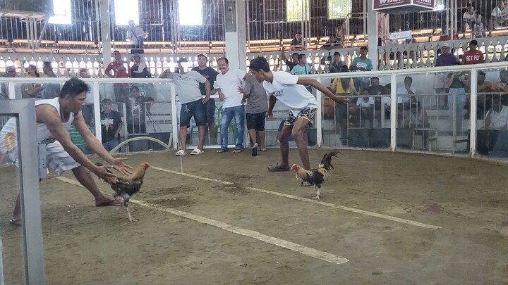 1 win 1 draw first fight San Jose cockpit arena..