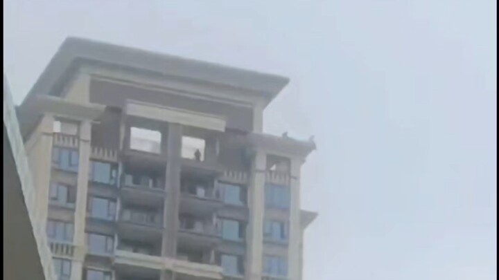 [Gambling Dog TV] & Aerial Acrobat & Losing Until Broke (Archived Episode)