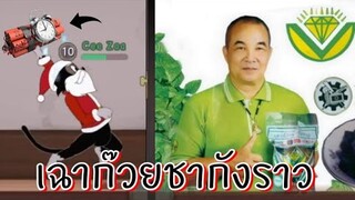 tom and jerry chase asia | เฉาก๊วยชากังราว !!!