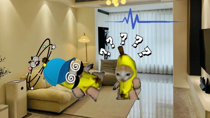 Mèo chuối thi được 0 điểm, phản ứng của ông bố!