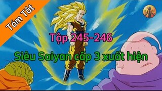 Review Dragon Ball Z: Tập 245-246🌈Tóm Tắt Dragon Ball - Review Dragon Ball