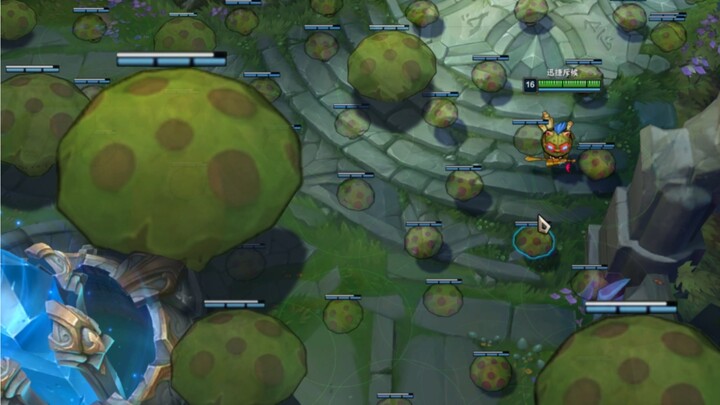 Creative Mushroom Moves: Hitting the Ox from Afar, Waiting for a Rabbit by a Tree, and Luring the Ja