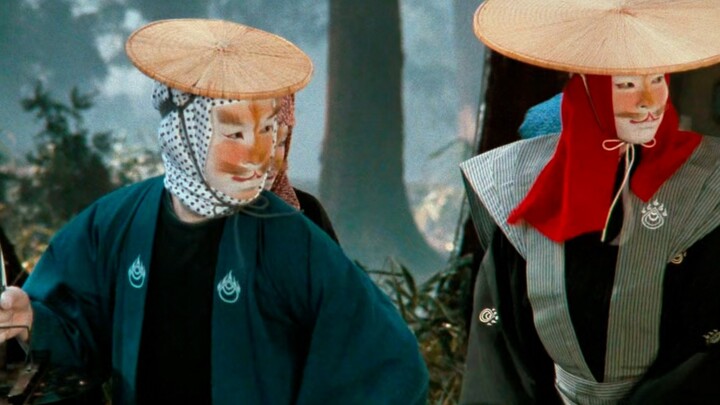 الصبي يصادف فعلاً حفل زفاف ثعلب!