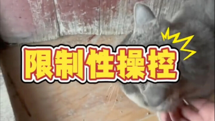 อย่าลูบคางแมวที่คุณไม่คุ้นเคยนะคะ～