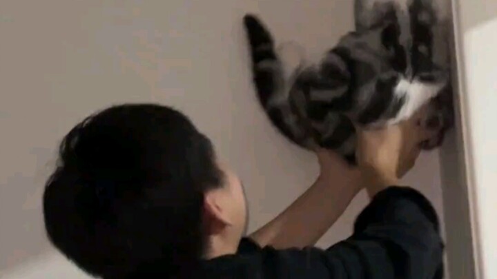 أخيرًا اطمأن قلبي المعلّق!