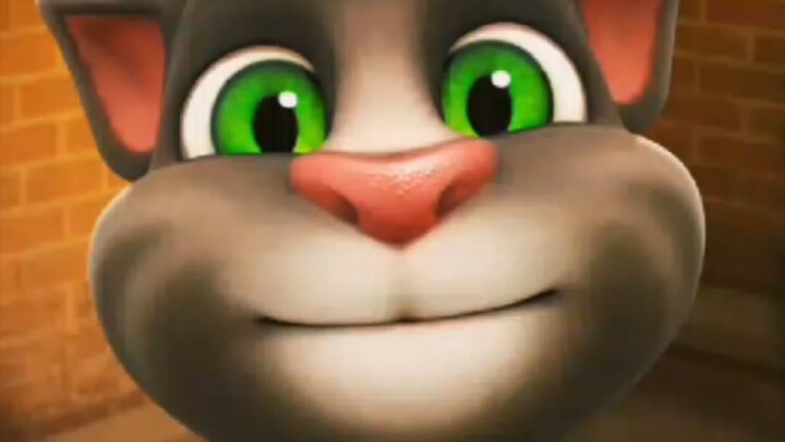 Talking Tom Cat