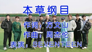 【SEVENTEEN】刘畊宏的本草纲目健身操居然都火到韩国了！！