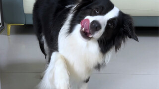 Katanya akan memanggil dua kali, kenapa hanya dipanggil sekali saja?