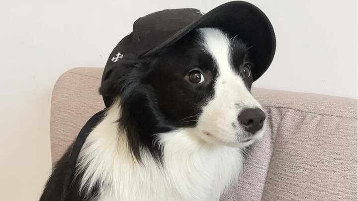 อีกหนึ่งวันแสนสุขแล้ว～