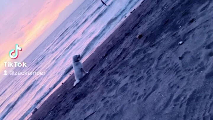 relaxing the beach 🏖️