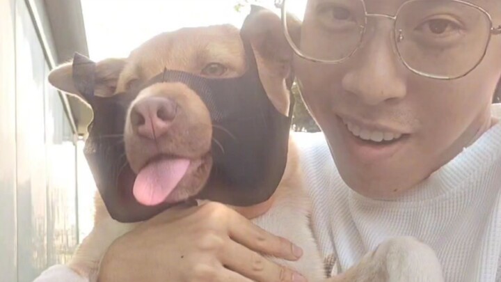 It says it already has an owner.