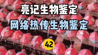【Liangji Bio-Identification】Internet Hot Biological Identification 42