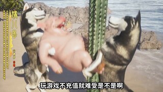 沙雕广告之狗策划回来了，猪一旦被抓去磨柱子。。真是辣眼睛！