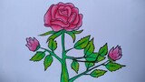 Cara menggambar bunga mawar || Cara menggambar dan mewarnai yang mudah