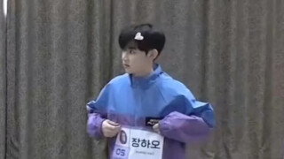 Zhang Hao's little panda figure is the best~