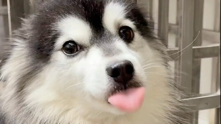 Aku mohon banget deh!