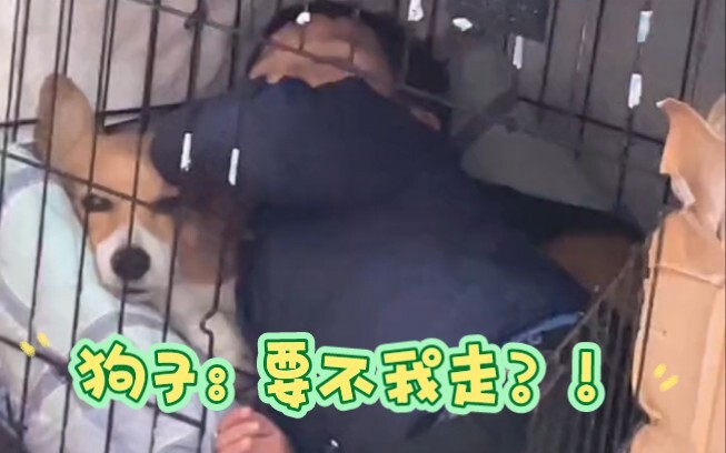 الكوري: أكره الأشخاص اللي ماعندهم إحساس بالحدود!