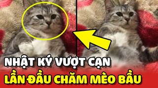 Nhật ký "VƯỢT CẠN" suốt 7 tiếng của bé Bắp và LẦN ĐẦU chăm mèo bầu của Sen | Yêu Lu