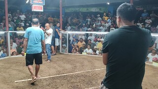 Double Left Melsims Grey - Win against Jaypee Palanca of Dita GF Julita Saysdyes