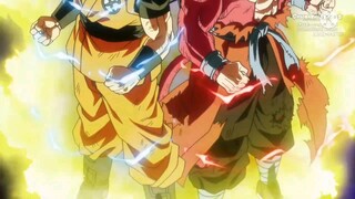 fuu vs 2 kamehameha