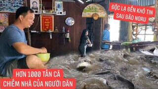 Độc Lạ chưa từng thấy cá thiên nhiên X.ÂM CH.IẾM ngôi nhà của người dân sau siêu bão NORU