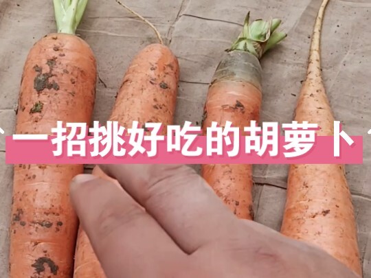 เคล็ดลับเดียวช่วยให้คุณเลือกแครอทอร่อยๆ