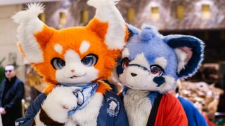 (Fursuit dance) รุ่ยโช่วและพิโก้ 心跳23事 23 เรื่องที่หัวใจเต้นรัว