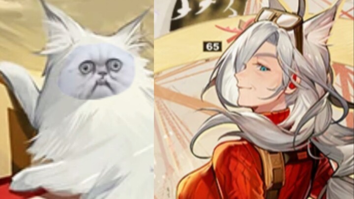 คุณย่า แมว