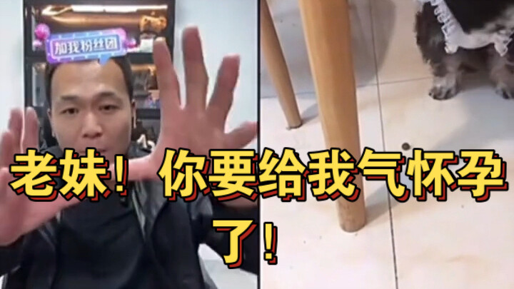 Pan Hong's Live-Stream Highlight: "That Sister"