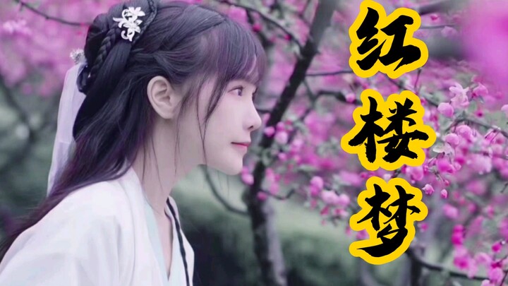 【SNH48】红 楼 一 梦