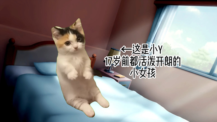 【猫meme】因抑郁辍学，而后重生