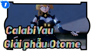 CalabiYau| Giải phẫu Otome_1