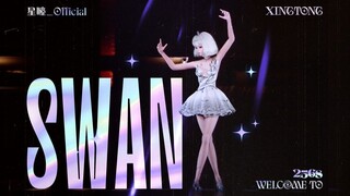 星瞳演唱会现场丨镜头下的暗涌 别想让我成为囚徒！ 《SWAN》(MIYEON)