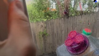 Use a feeder to become friends with the hummingbirds that appear outside your window every day.