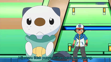 Pokemon Best Wishes Episode 15 Sub Indo