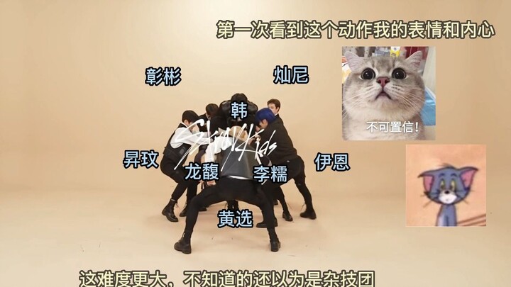 【Stray Kids】Những động tác vũ đạo hoàn toàn không cần thiết