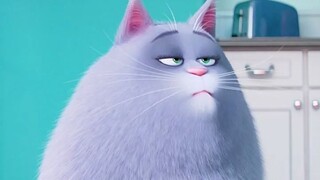 【爱宠大机密】碰到这样的猫，你会拿起拖鞋吗？！！