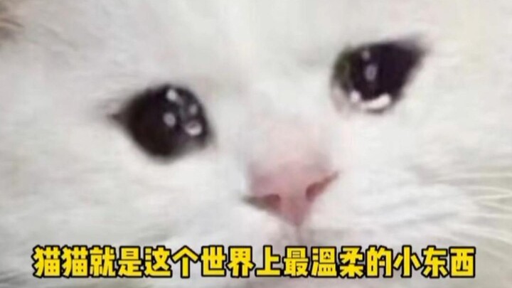 ปากบอกว่าเกลียด แต่จริงๆ แล้วน้ำตาคลอไปแล้วใช่ไหม?