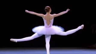 AI performs ballet, with the beauty of a mutant swan