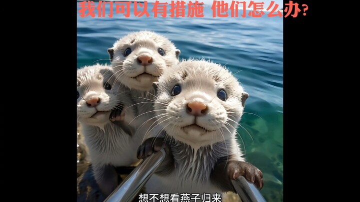 Bố ơi, trước đây biển thực sự có màu xanh à? “Ừ, có mà.” “Nhưng sách bảo biển màu đen cơ mà.” “Màu đ