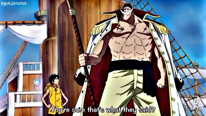 luffy doesn't fear anyone😂