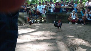 Pangatlong sabak abuhin Win. 3x