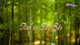 Ca nhạc : Tình ca Tây Bắc (THVL4 - 29/12/2024)