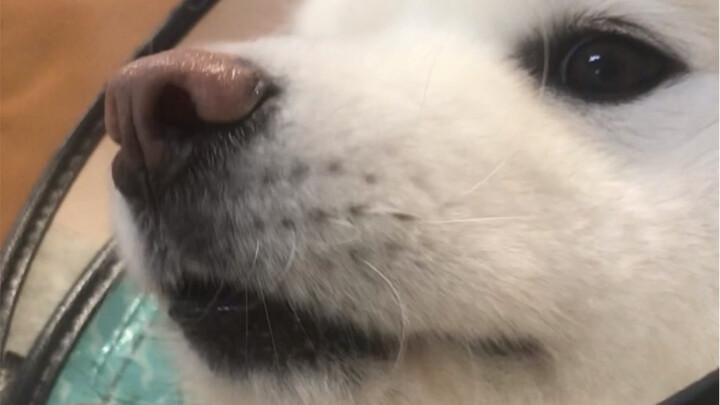 你既不上学，又不上班，每天除了吃睡就是要玩玩玩！