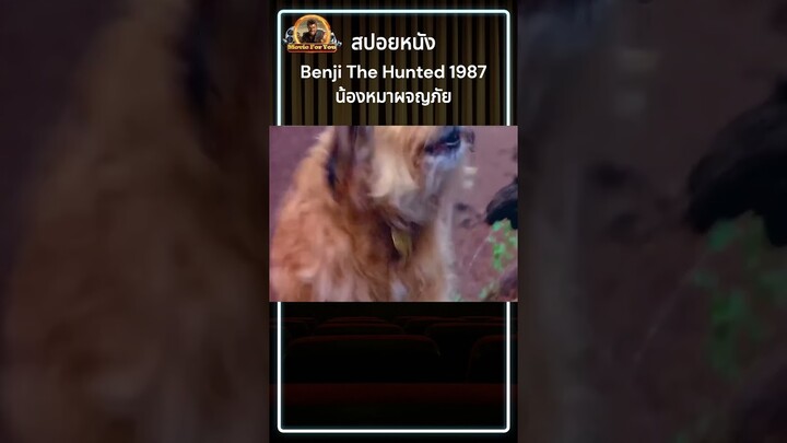 สปอยหนัง Benji The Hunted 1987 น้องหมาผจญภัย  #สปอยหนัง #รีวิวหนัง #หนัง