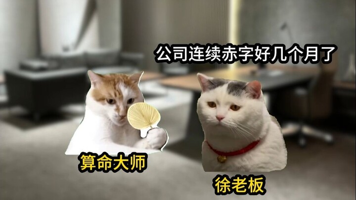 当你被老板鉴定为招财体质...