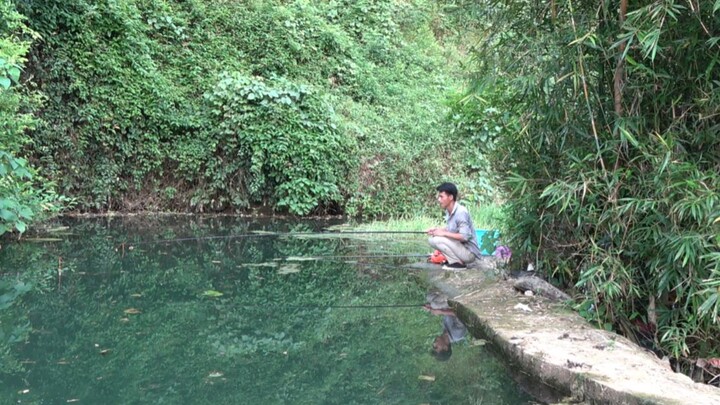Thả đầy mồi xuống sông, ba tiếng sau cá cắn câu mạnh quá