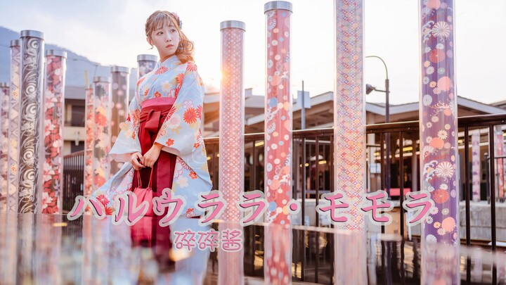 【Sui Sui Jiang】Chong Fengxing❤ Sakura Sakura~ sudah mekar di hatiku