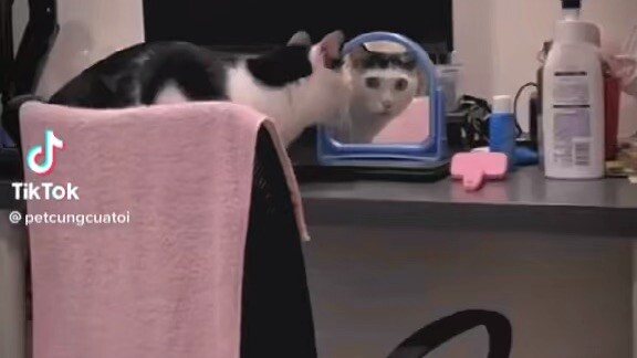 mình đẹp trai quá còn ko nhận ra nữa